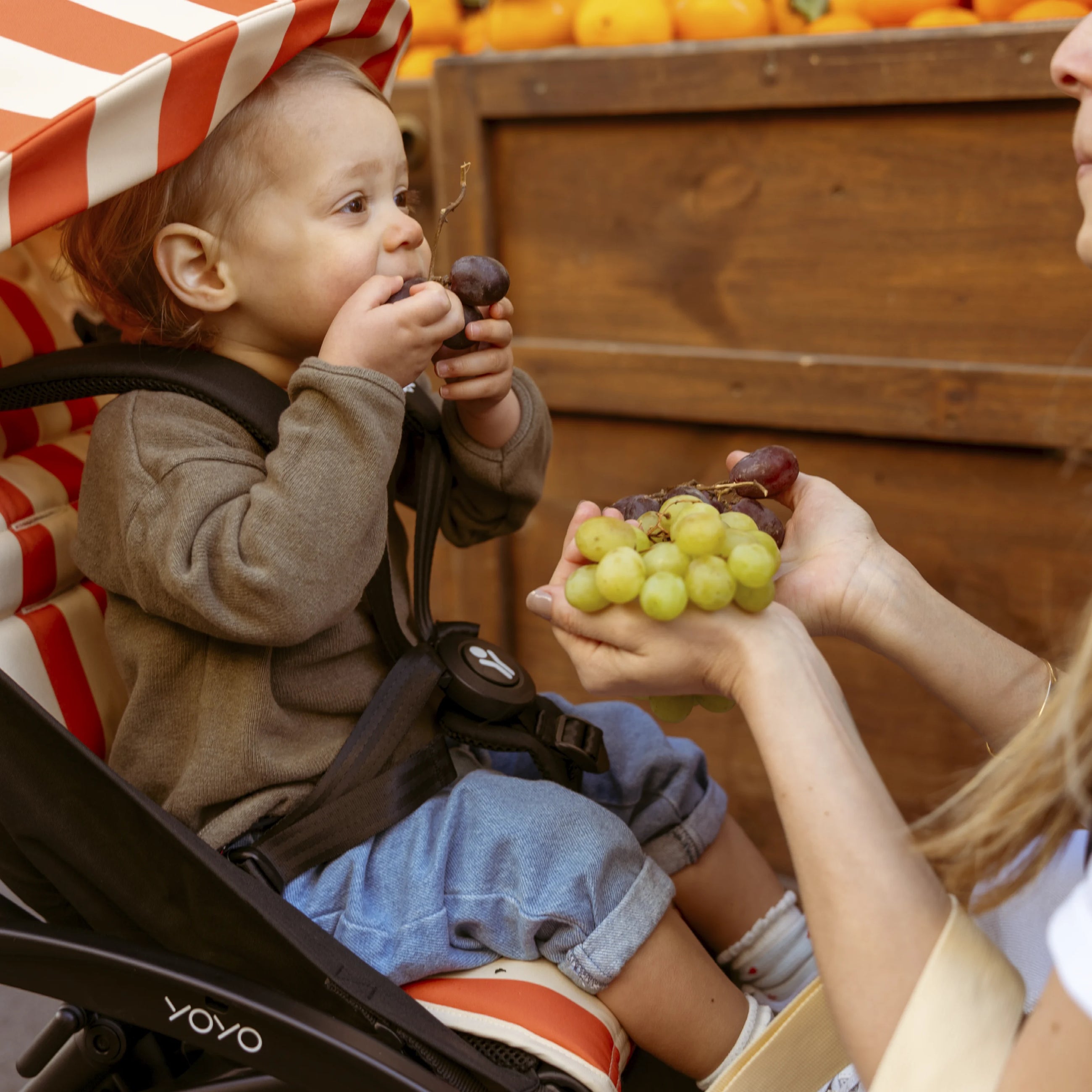 Stokke® YOYO³ Riviera Summer Kit - Capri