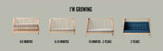 Leander® Linea™ Легло 0 - 3 г. - Дъб